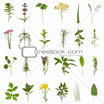 Herb Leaf and Flower Collection
