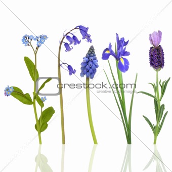 Spring Flowers in Blue