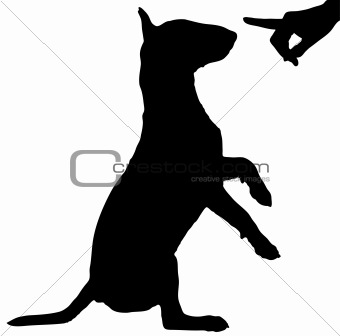 silhouette of persons hand reprimanding a naughty dog