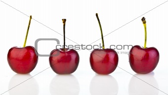 cherries against white background