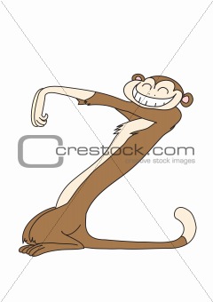 monkey Z