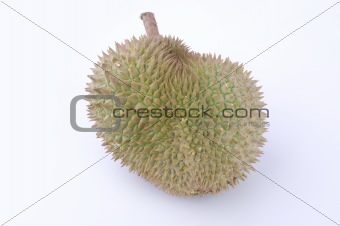 tropical fruit durian with white background