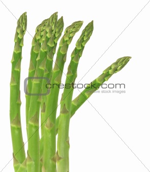 Fresh Asparagus Shoots