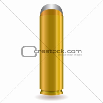 large rifle bullet