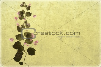 Bouganvillea on beige washed wall background