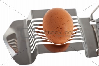 egg cutter with an egg isolated on white background