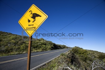 "Nene Crossing" road sign in Maui, Hawaii.