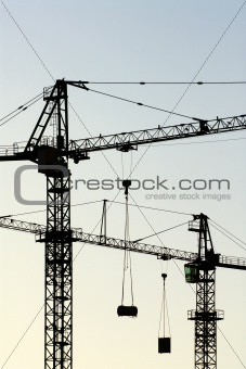 cranes vertical