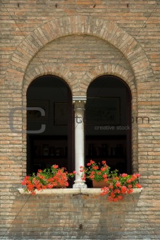 window geraniums