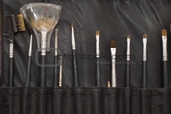 cosmetic bruhes