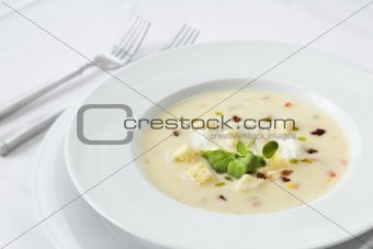 Fancy Bowl of Soup