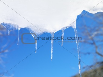 Icicles Against Blue Sky