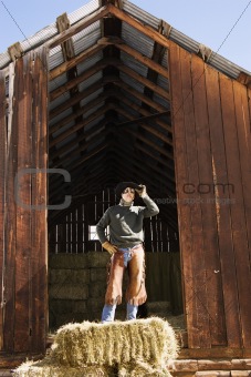 Attractive Young Man Standing on a Bale of Hay