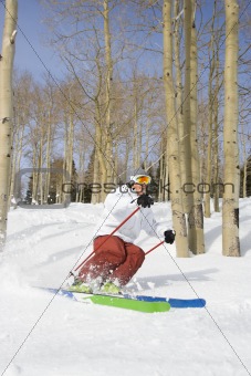 Downhill Skier Making Turn