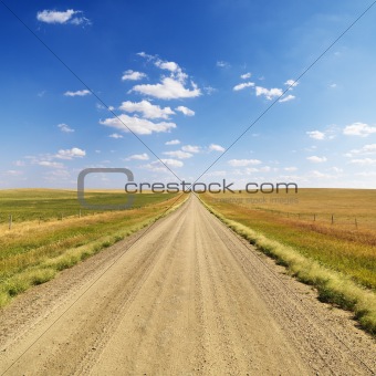 Country Dirt Road Between Fields