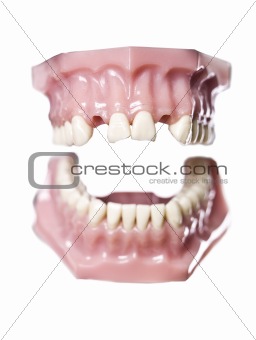 Vintage artificial teeths