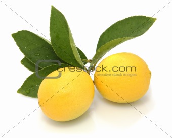 on white backTwo lemons