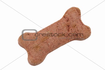 Isolated dog biscuit