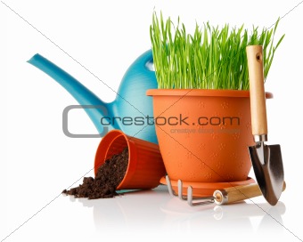 green grass in the pot with shovel tool