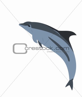 Realistic illustration of a dolphin