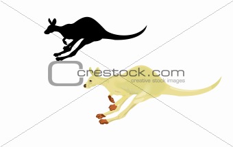 Running kangaroo isolated on a white background