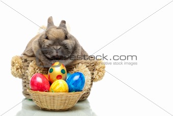 Little cute Easter bunny sitting in a basket