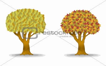 autumn trees with detail leaves illustration