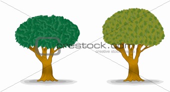 green trees with detail leaves illustration