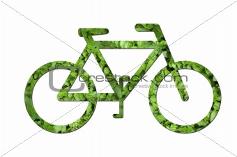 Ecological bicycle