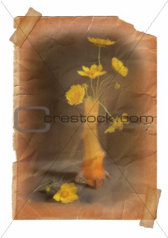 Yellow flower in vase - vintage effect