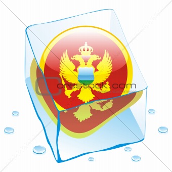 vector illustration of montenegro button flag frozen in ice cube