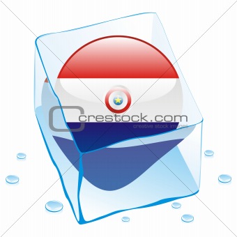 illustration of paraguay button flag frozen in ice cube