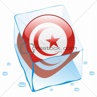 vector illustration of tunisia button flag frozen in ice cube
