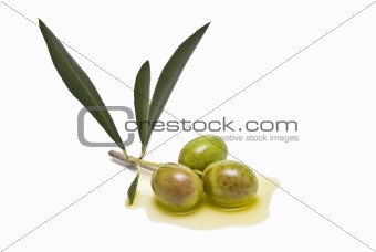 Olives to make olive oil.