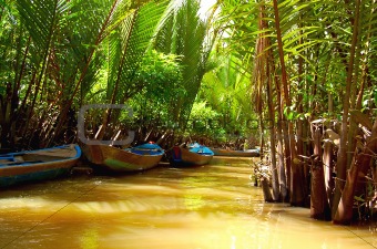 Mekong Delta - waterway through jungle and boats
