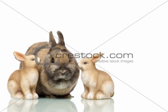Group of three Easter bunnies are sitting together