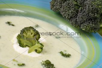Broccoli crea soup