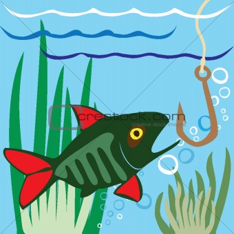 Beautiful Fish. Fishing. Aquarium fish