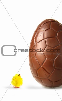 Little easter chick looking up at chocolate egg