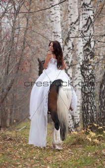 Young Woman And Horse