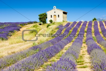 chapel with lavender field