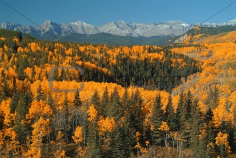 Sheep River valley in fall