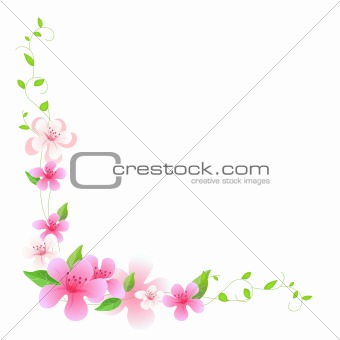 pink flower and vines