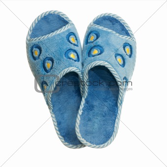 Pair of blue home slippers