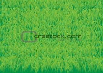 Green_grass_horisontal
