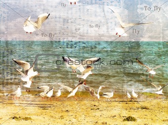 Flight of seagulls over the sea.