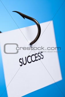 Success access