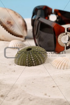 Seashells and sunglasses on sand