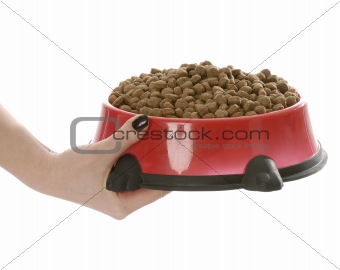 hand holding on to large bowl of dog food on white background