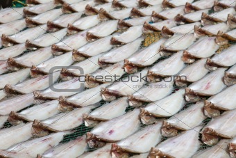fish market in Asia / South Korea 
